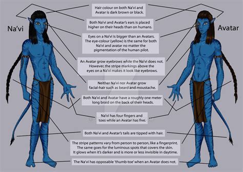 Navi Avatar Guide Basics By Jivra On Deviantart