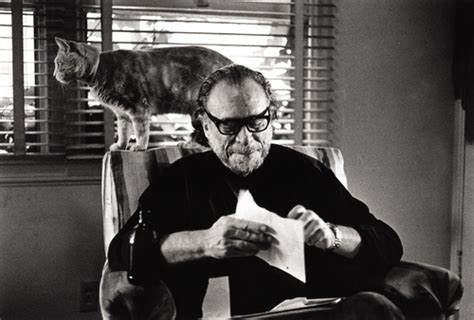 On Cats ~ By Charles Bukowski Book Review Fictionophile