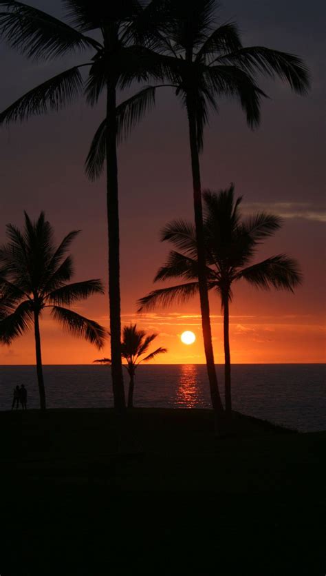 sunset beach hawaii iphone wallpapers top free sunset beach hawaii iphone backgrounds