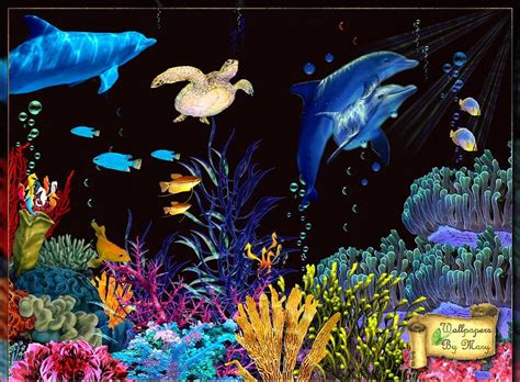 The Deep Turtles Oceans Seas Dolphins Fish Hd Wallpaper Peakpx