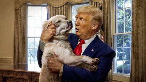 Trump Attempts To Soften Image Before Election By Adopting Dead Dog
