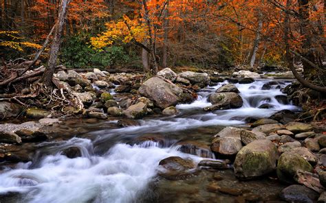 Beautiful National Parks In America Great Smoky Mountains National Park