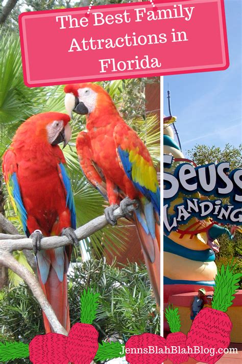 The Best Family Attractions In Florida | Florida activities, Florida, Florida vacation