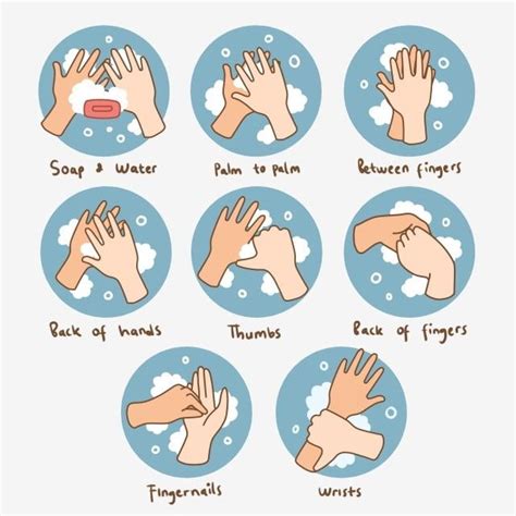 7 Steps Of Handwashing Chandlertarowalker