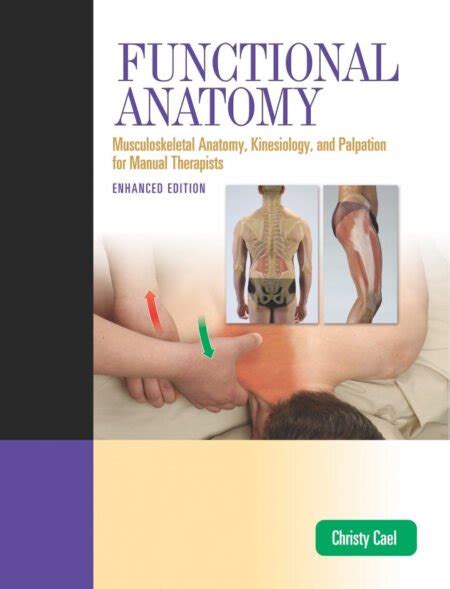 Functional Anatomy Musculoskeletal Anatomy Kinesiology And Palpation