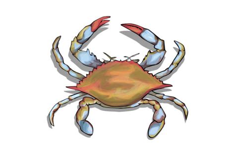 Blue Crab Vector Art Graphic By Rfg · Creative Fabrica