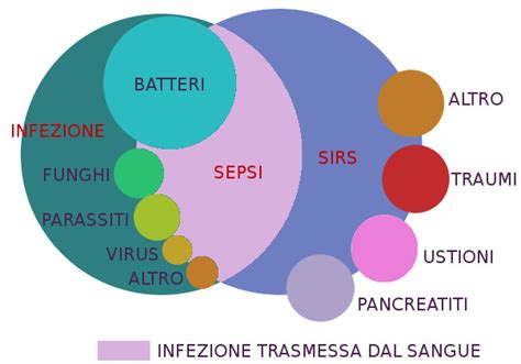 Sepsis affects you throughout your body. File:Infez sepsi sirs.jpg