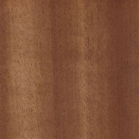 African Walnut The Wood Database Lumber Identification Hardwood