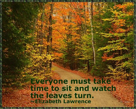 Fall Quotes Images Autumn Scenes Nature Wallpaper