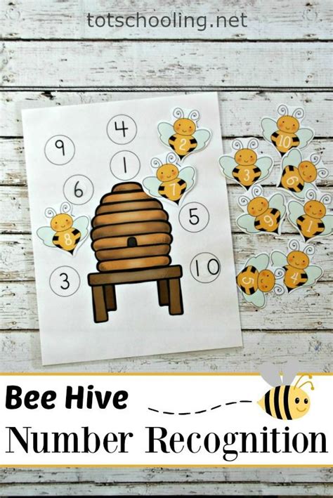 Beehive Worksheet Kindergarten