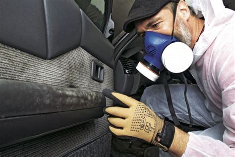 Then repeat if the smell is still in the car. How to Get Mold Out Of Car Seats And Carpet? - Tires 4 Car