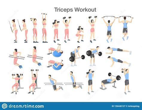 Do you want to see your arms get toned quickly? Arm Triceps Workout Set With Dumbbell And Barbell Stock ...