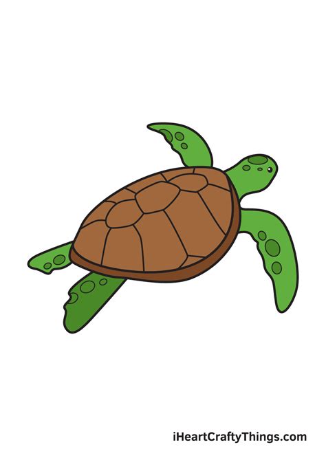Sea Turtle Drawing — How To Draw A Sea Turtle Step By Step