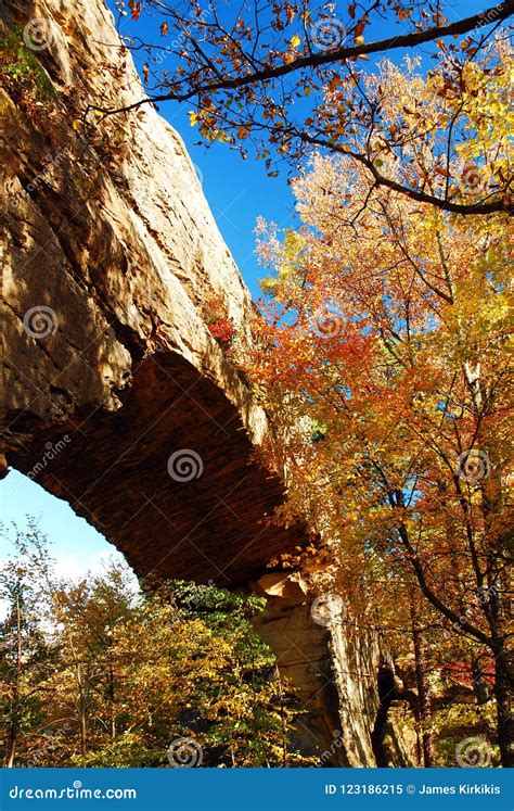 Autumn Leaves And Stone Bridges Stock Image Image Of Natural Change