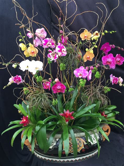 Orchid Arrangements Custom Elegant Orchids United States