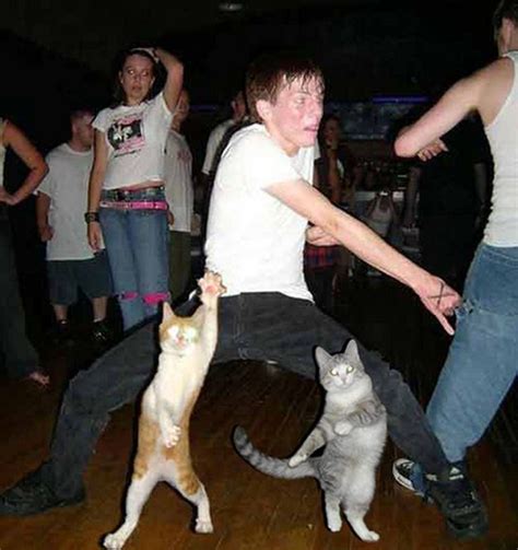 And Of Course This Cat Dance Party Dancing Cat Funny Animals Funny