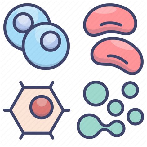 Cells Clipart Human Cells Human Transparent Free For