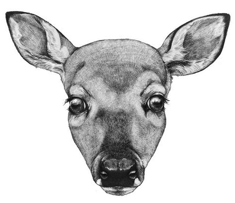 Deer Head Drawingart Inspiration Deer Kind Inspiration Art Crafts