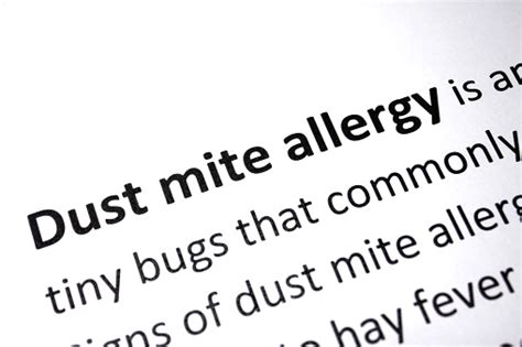 Dust Mite Allergy Stock Photo Download Image Now Dust Mite