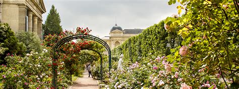 Choisissez parmi des contenus premium botanical garden paris de la plus haute qualité. Places to picnic in Paris | Go Ahead Tours travel blog