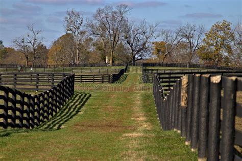 Kentucky Horse Stable Stud Farm Racing Green Grass Stone Building