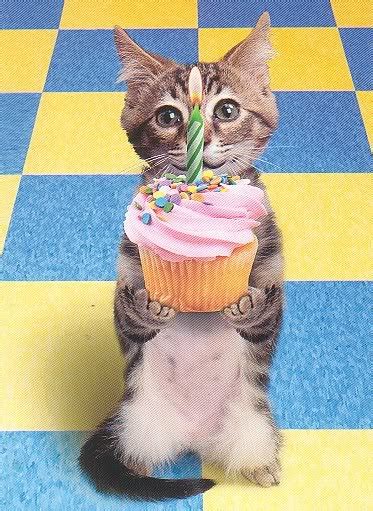 Funny Pictures Funny Animal Birthday Pictures