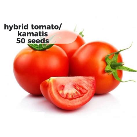 Hybrid Kamatistomato Seeds 50 Seeds Shopee Philippines