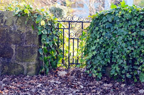 Old Gate Free Stock Photo Public Domain Pictures