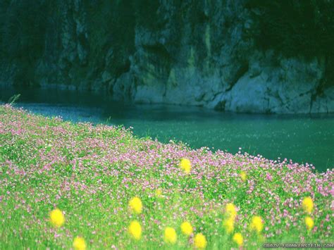 Pretty Summer Backgrounds Wallpaper Cave