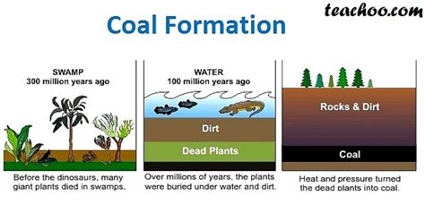 Coal Definition Uses Formation Explained Teachoo