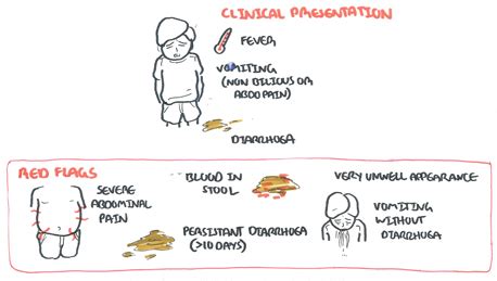 Symptoms may include diarrhea, vomiting and abdominal pain. Gastroenteritis (Infectious Diarrhoea) | Armando Hasudungan