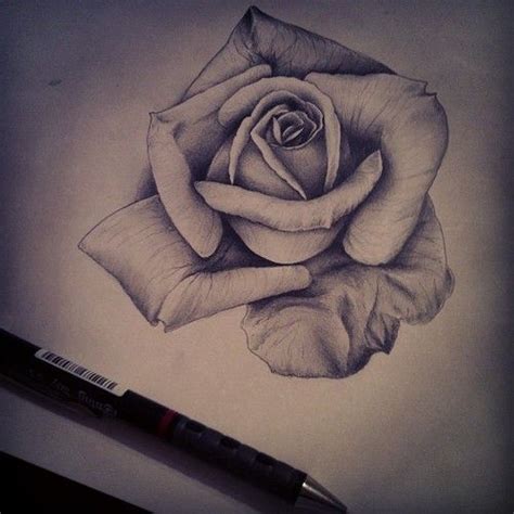 Using basic lines helps to uncomplicate the process and you soon become familiar with seeing and copying various subjects. realistic nature drawing - Google Search | Realistic rose ...