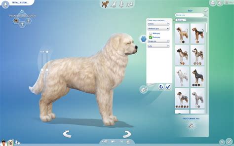 The Sims 4 Psy I Koty Garść Porad Jak Zacząć Zabawę