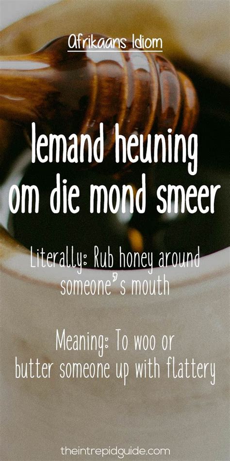 25 Hilarious Afrikaans Idioms That Should Exist In English Cool Words
