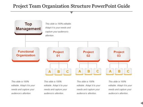 Project Team Organization Structure Powerpoint Guide Powerpoint