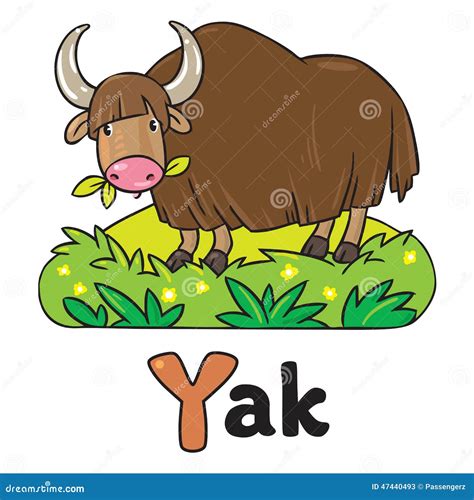Funny Wild Yak Illustration For Abc Alphabet Y Stock Vector