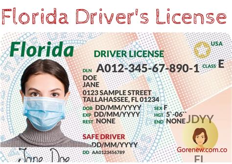 Florida Drivers License Your Ultimate Guide