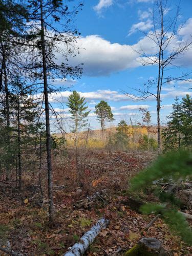 Best Hikes And Trails In Brule River State Forest AllTrails