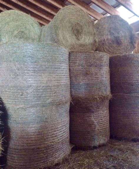 This Item Selling Absolute ~~~ 18 Round 4x5 Bales Of First Cutting