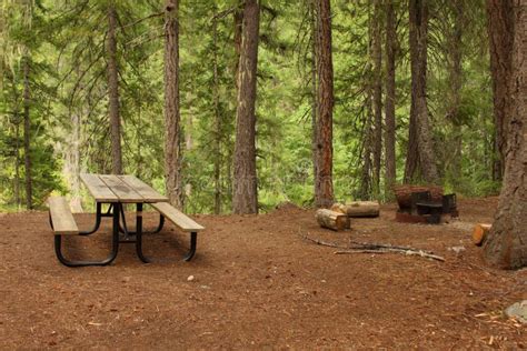 Forest Picnic Area Stock Photo Image Of Camping Fall 6067916