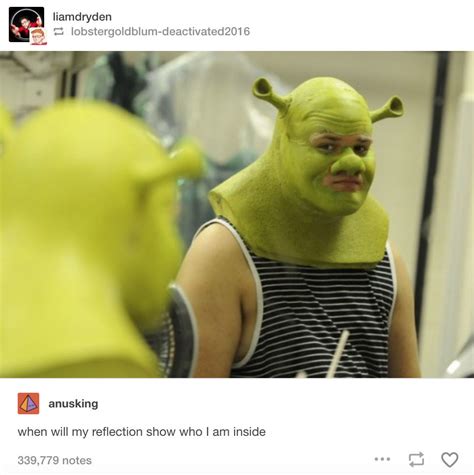 Funny Shrek Memes Clean My Xxx Hot Girl