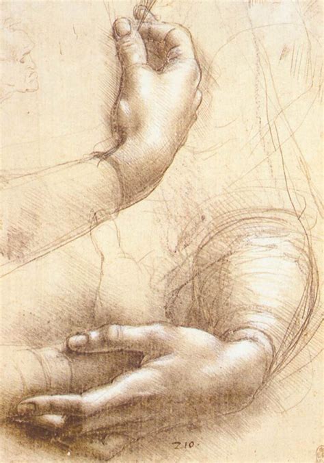 Leonardo Da Vinci Anatomical Drawings Hands