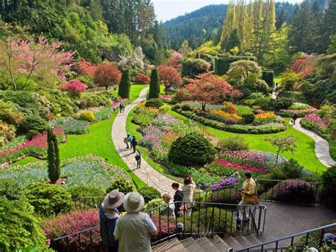 Spring Blooms In The Butchart Gardens Editorial Stock Photo Image Of