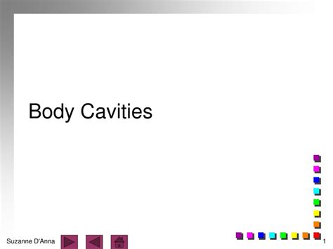 Ppt Body Cavities Powerpoint Presentation Free Download Id 9359543
