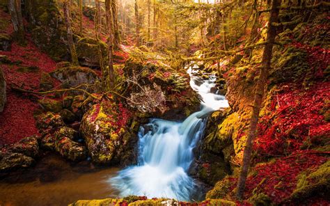 Waterfall Trees Autumn Wallpaper Nature And Landscape