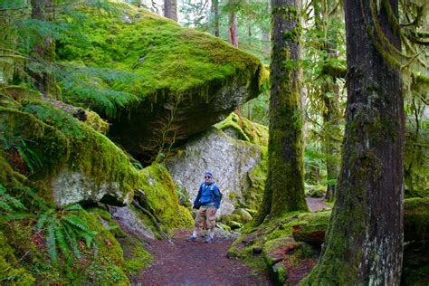 Olympic Peninsula Hikes Guides And Updates Staircase Step Up Into