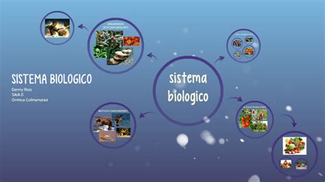 Sistema Biologico By Denny A Rios R On Prezi