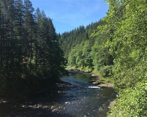 Most Beautiful Swimming Holes In Oregon The Wilson River
