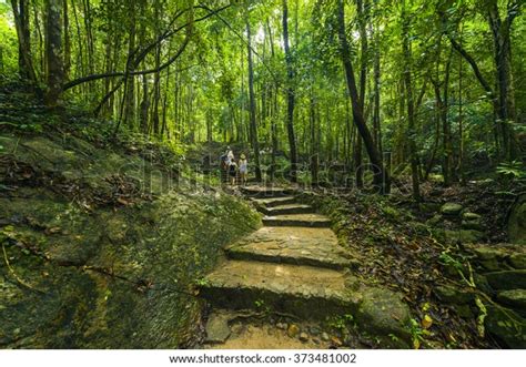Stairs Walkway Through Thailand Tropical Rainforest Stock Photo