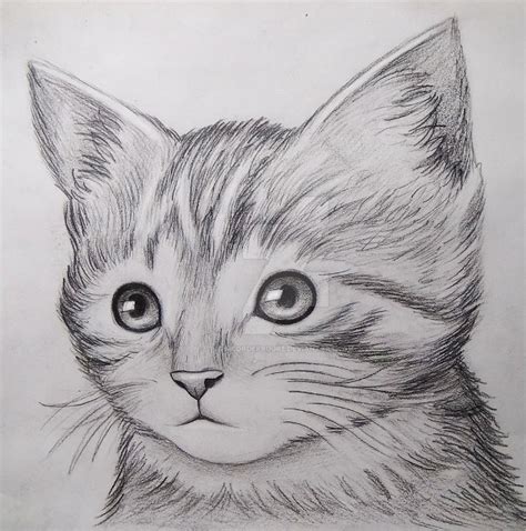 Hard Cute Cat Pictures To Draw